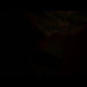 Meet your Posher, Brady